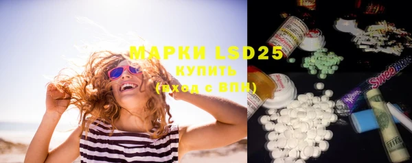 ECSTASY Алзамай