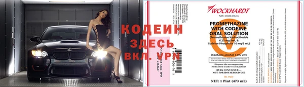 ECSTASY Алзамай