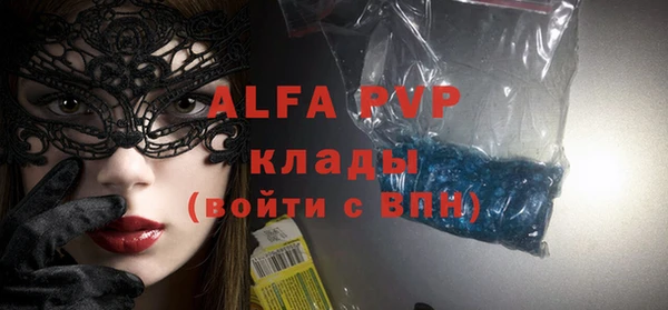 ECSTASY Алзамай