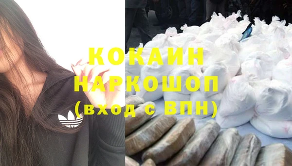 ECSTASY Алзамай