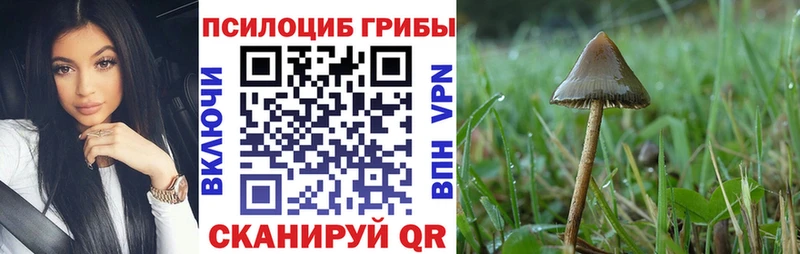 Галлюциногенные грибы прущие грибы  Краснознаменск 