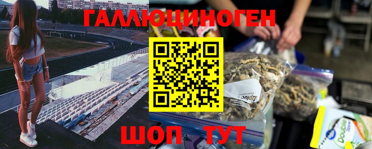Краснознаменск  Галлюциногенные грибы Magic Shrooms  Вход с VPN 