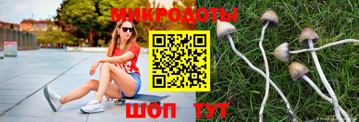 Галлюциногенные грибы Psilocybine cubensis Краснознаменск